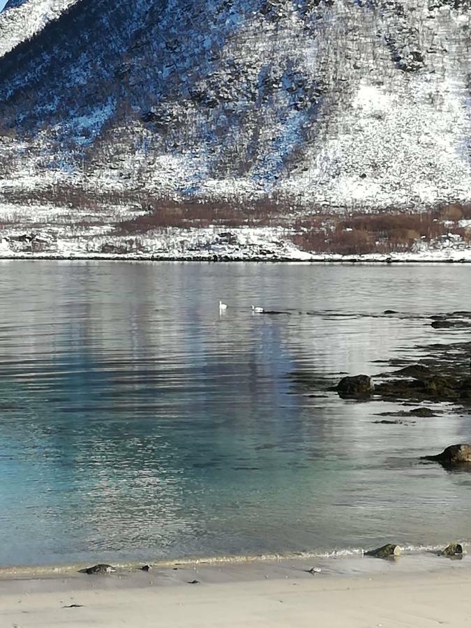 Midnattsolveien 3158,Sommarhusstrand Laukvik Lofoten Norway Esterno foto