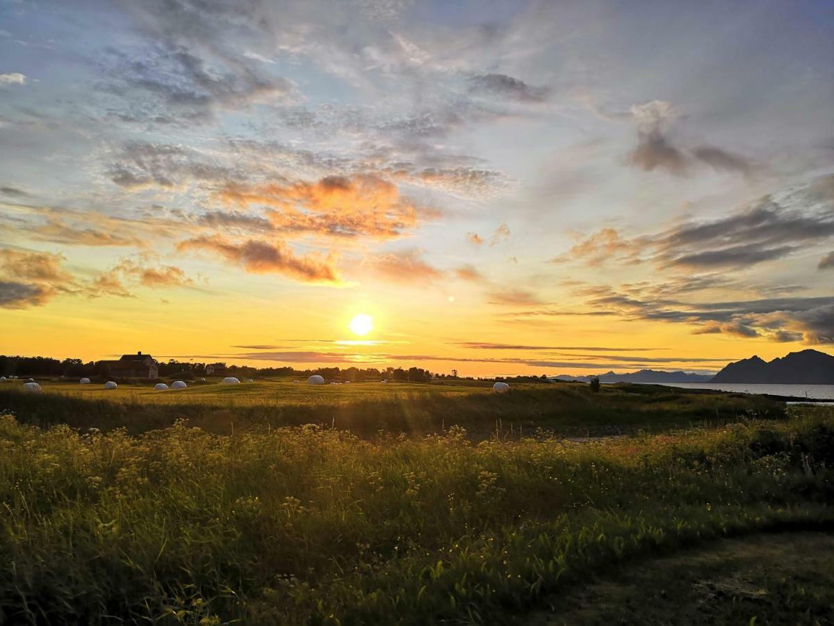 Midnattsolveien 3158,Sommarhusstrand Laukvik Lofoten Norway Esterno foto